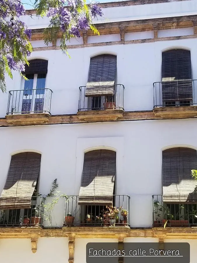 Jerez Centro Historico Apartment Jerez de la Frontera