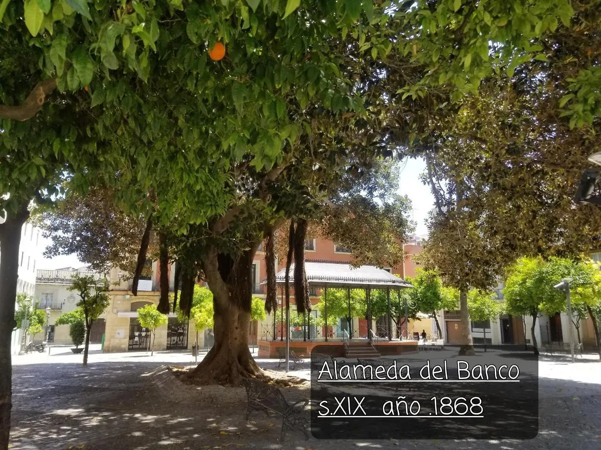 Jerez Centro Historico Apartment Jerez de la Frontera Spain