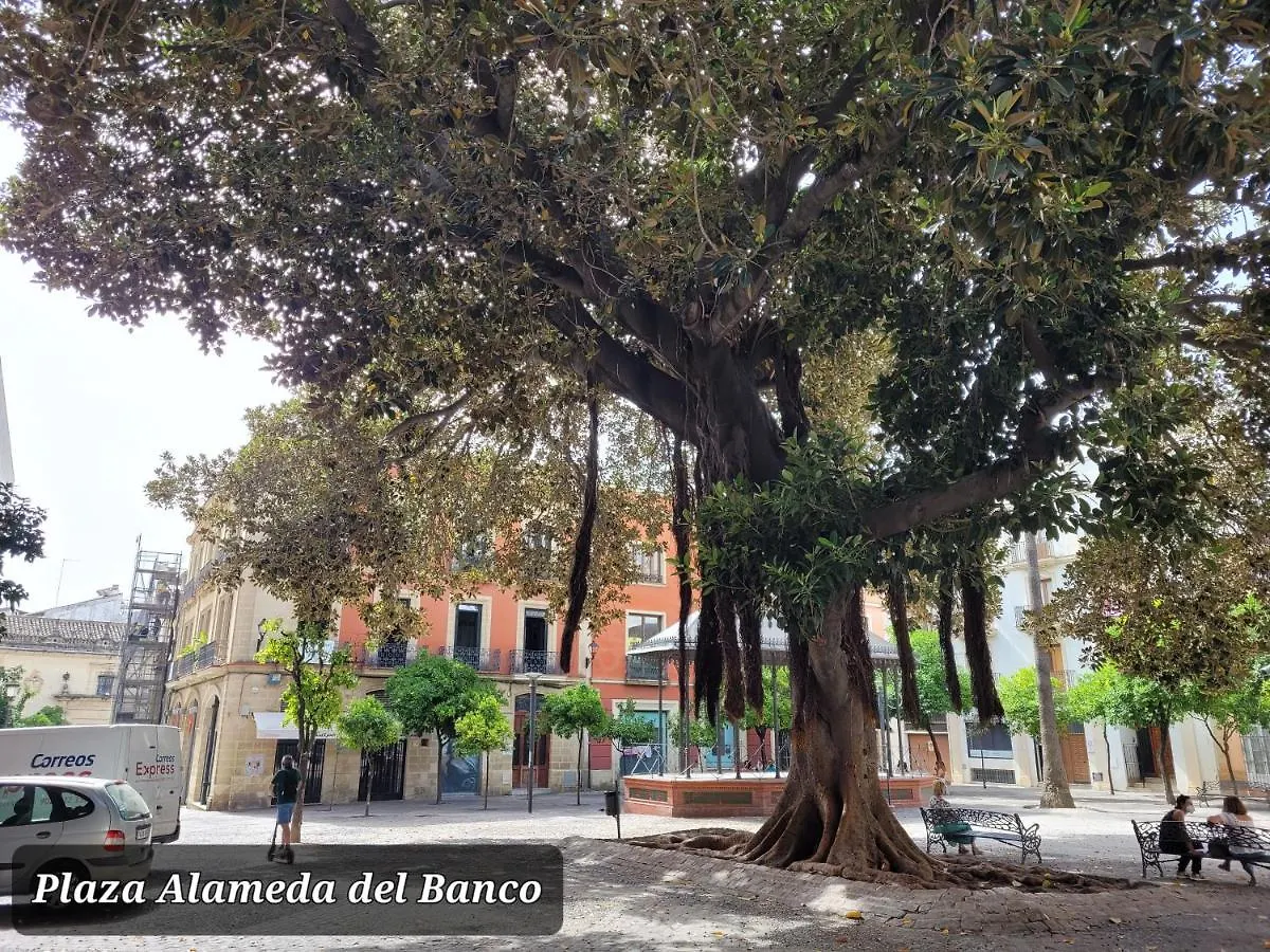 Апартаменты Jerez Centro Historico Херес-де-ла-Фронтера 0*,  Испания