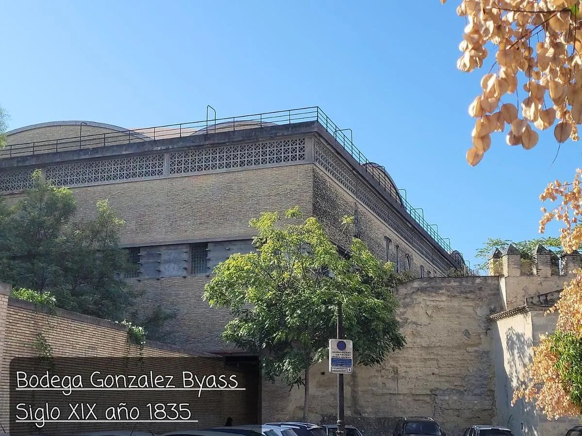 Апартаменты Jerez Centro Historico Херес-де-ла-Фронтера